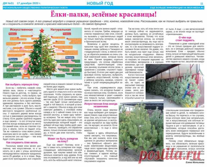 Как выбрать елку и сохранить