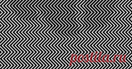 Ученые утверждают, что только 1 из 10 людей способен увидеть скрытое изображение! Сможете ли Вы? Недавно в Интернете появилась замечательнейшая картинка с оптической иллюзией, которая сводила с ума многих пользователей различных социальных сетей. Просто посмотрите на центр картинки внутри этой статьи, расслабьте глаза, и позвольте мозгу сделать свое дело!