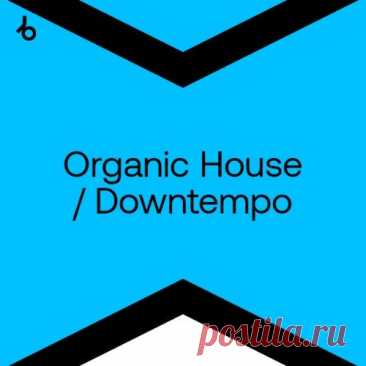 Best New Hype Organic House May 2024 » MinimalFreaks.co
