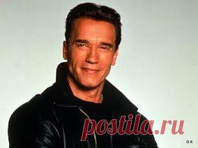 Арнольд Шварценеггер: 21 тыс изображений найдено в Яндекс.Картинках