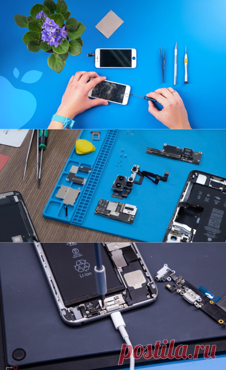 Ремонт iPhone: профессиональное восстановление вашего устройства | ТЕХНО 10