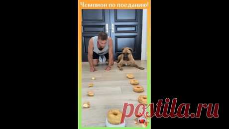 Голодные игры