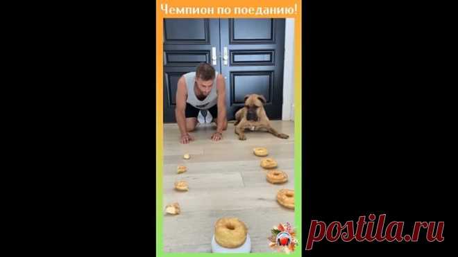 Голодные игры