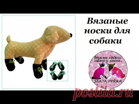 20. Вязанные носки для собаки