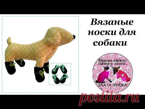 20. Вязанные носки для собаки