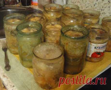 Без заголовка.