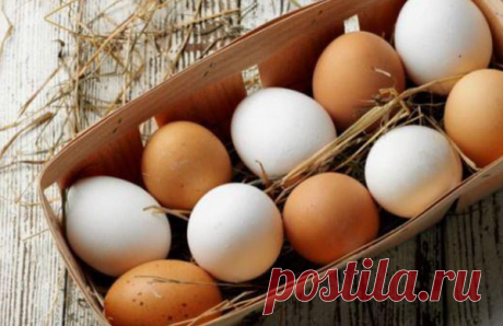 Дедушкин способ удобрения. Он закапывает обычное яйцо в землю | Урожайный огород | Яндекс Дзен