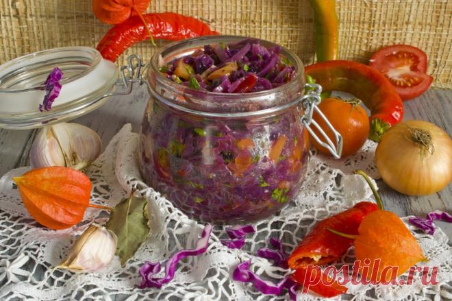 Солянка из краснокочанной капусты на зиму. Пошаговый рецепт с фото - Ботаничка.ru