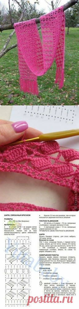 Polly Croche