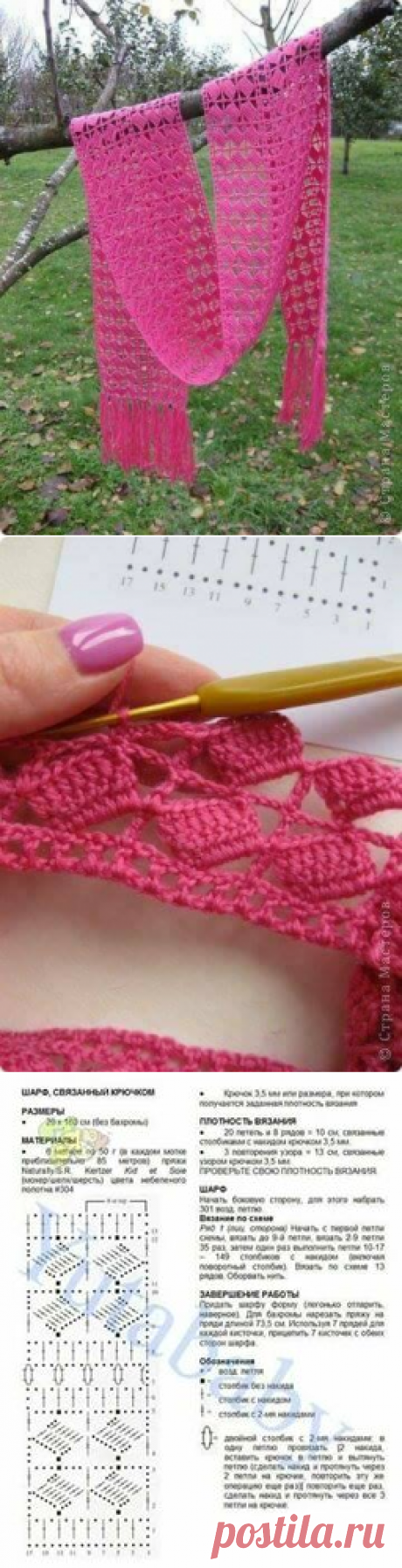Polly Croche