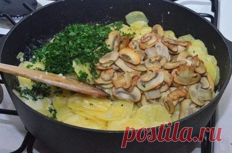 КАРТОШКА С ГРИБАМИ В СМЕТАНЕ.
Ингредиенты:
700 г картофеля
400 г свежих шампиньонов
300 мл...