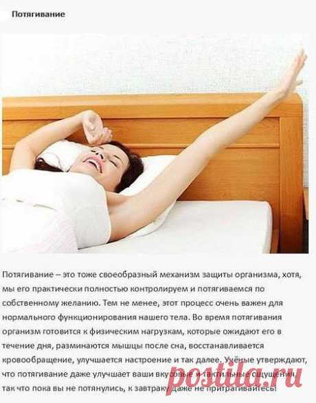 Фото пользователя Виктор, Ашхабад, 59 лет