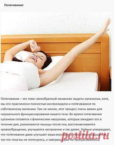 Фото пользователя Виктор, Ашхабад, 59 лет