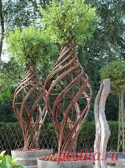 Живые беседки из укорененной ивы