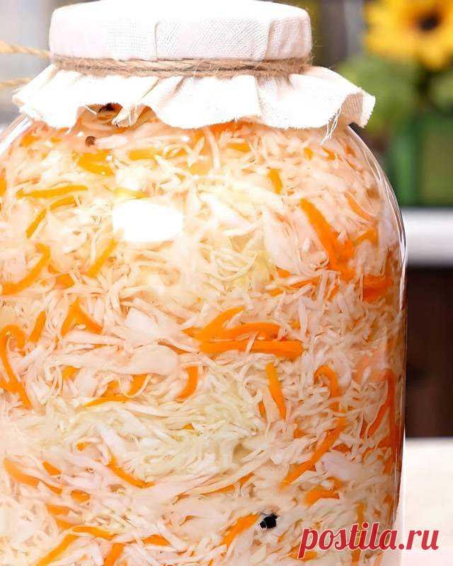 Хрустящая квашеная капуста на зиму: лучший рецепт с точными пропорция | ВКУСНО и ПРОСТО | Постила