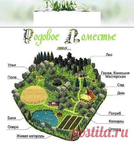 Одноклассники