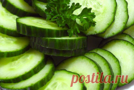 Тушеные огурцы | Vegetarian.ru