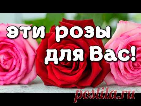 Доброе утро, любимая. Розы для тебя * МУЗыкальный подарОК
