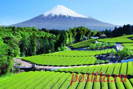 Ландшафт горы Фудзи (Fuji) - фото дня