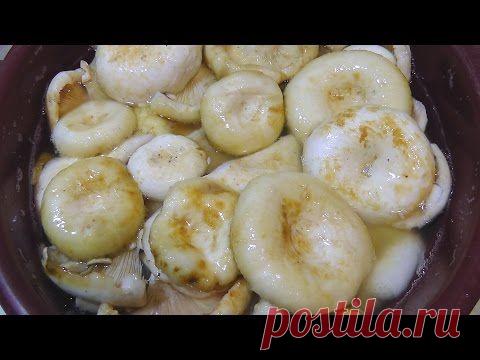 Советы грибников: как выбрать грибы для засолки и 2 способа засолки грибов