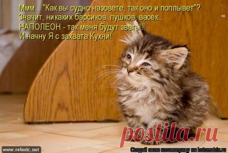 Котоматрицы | Релаксик - страница 7