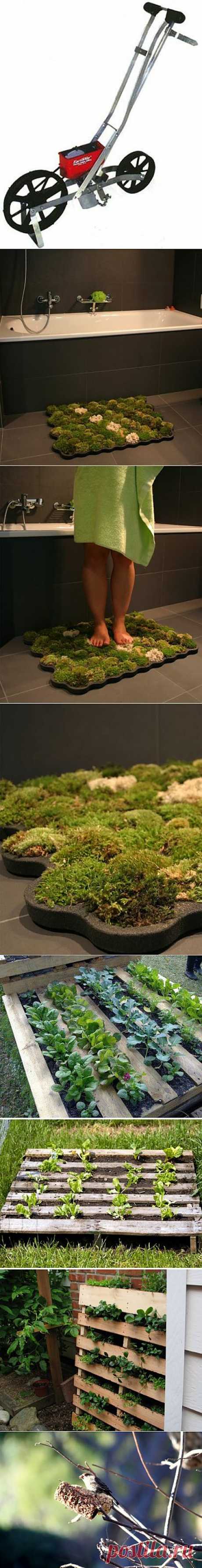 Советы огородникам и садоводам.