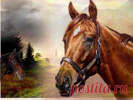 Задумчивость