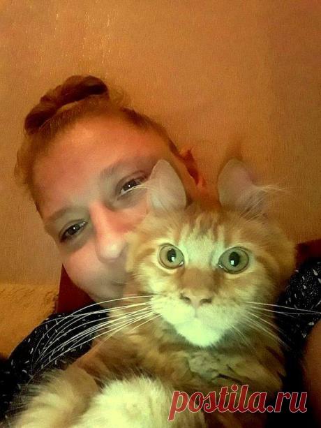 Счастье иметь кота