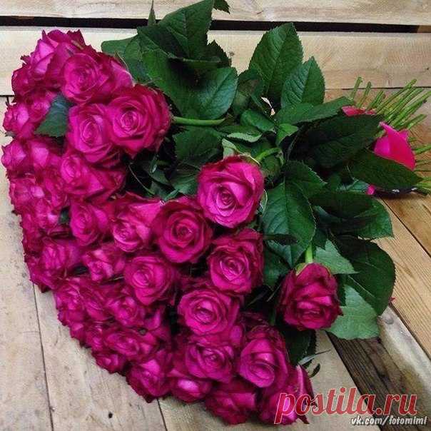 Доброе утро, друзья!❤😘