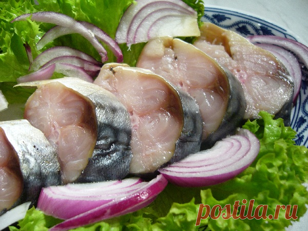 Вкусная и полезная рыбка: 6 лучших способов засолки скумбрии