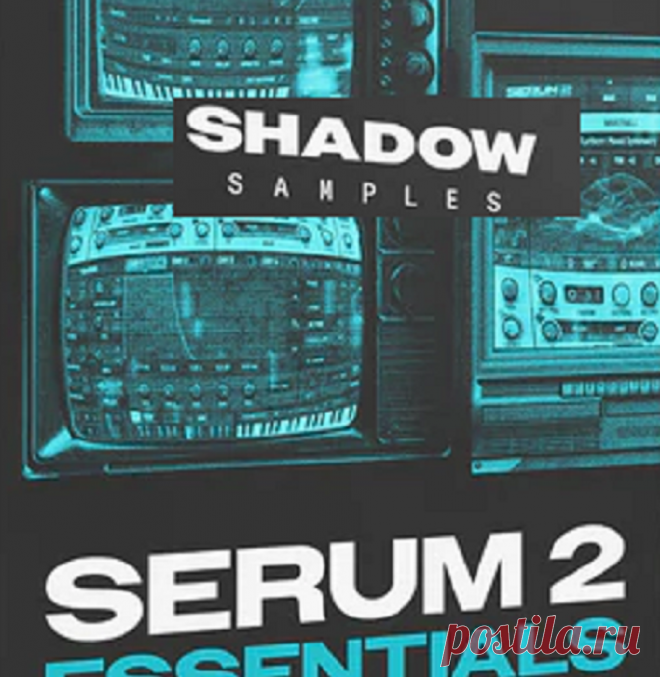Shadow Samples Serum 2 Essentials SERUM 2 PRESETS | 48.9 MB
With over 200 expertly crafted presets, this pack gives you all the tools you need to create professional-grade songs and tracks quickly and efficiently. These aren’t just ordinary presets — each sound is meticulously designed, crystal-clear, and fully produced and mastered to deliver optimal quality right out of the box. 
DOWNLOAD:
https://audioclub.store/samples/serum-2-essentials-serum-2-presets/