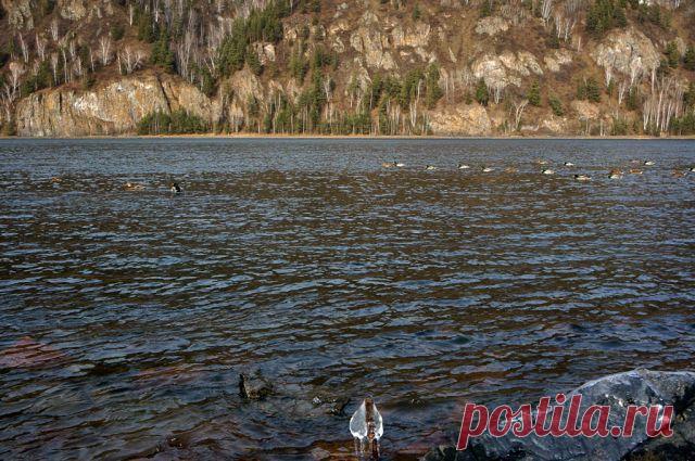 Валерий Кириллов
Россия, г. Удомля (Удомельский район)