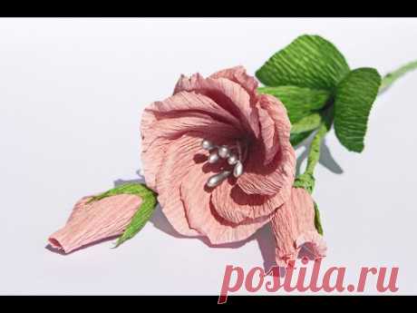 Эустома из гофрированной бумаги / DIY / Paper eustoma - YouTube

В видео я покажу как легко и просто сделать веточку эустомы из гофрированной бумаги.

#эустомаизбумаги #гофрирвоаннаябумага #papereustoma