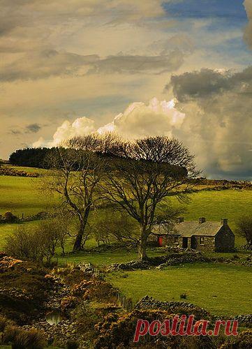 Найдено на сайте bonitavista.tumblr.com.