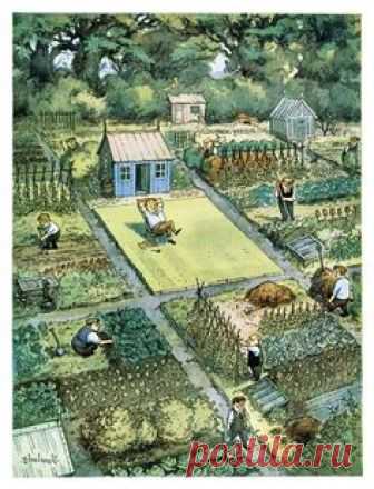 Norman Thelwell cartoon is repeated in every street all over the world I guess. Often it's the hardworking gardener next to the 
