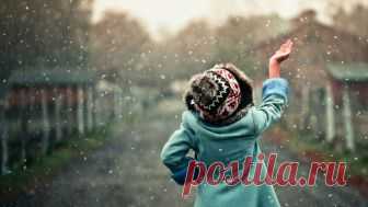 Когда перестанешь (Дикая Собака Динго) / Стихи.ру