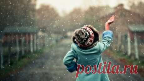 Когда перестанешь (Дикая Собака Динго) / Стихи.ру