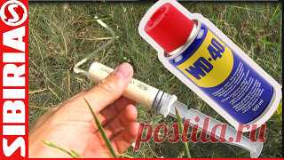 Ловля карася на WD-40. Рыбалка на поплавочную удочку Как насаживать манку c ВД-40