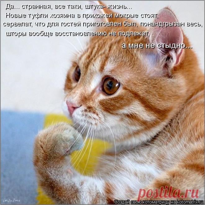 bondaren-nadejda — «705427.jpg» на Яндекс.Фотках