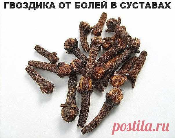Боль в суставах прогонит гвоздика! Боль в спине, в локтях и коленках, при артрозах, ревматизме, радикулите, миазите, невралгии прекрасно снимает настоянная на одеколоне пряность гвоздика.

Возьмите пять пакетиков (по 20г) ароматных бутончиков и залейте двумя флаконами тройного одеколона. Закрытую стеклянную банку держите в темном месте ( не в холодильнике) неделю, постоянно встряхивая.

Готовая целебная растирка должна иметь насыщенный коричневый цвет. Натерев ею больные м...