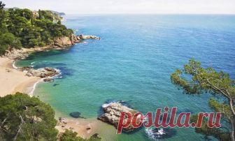 Лучший выбор отелей в Коста-Брава, Испания - TripAdvisor Недорогие гостиницы Коста-Брава: найдите выгодные предложения сотен веб-сайтов и забронируйте оптимальный отель с помощью 440 176 отзывов об отелях Коста-Брава на сайте TripAdvisor.