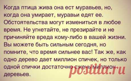 Интересные новости