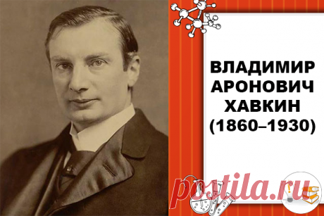 Победивший холеру и чуму
     
Ученый, врач Владимир Хавкин