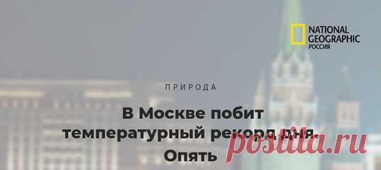 Последний раз такая теплынь в столице стояла больше 130 лет назад. А у вас как погодка?
