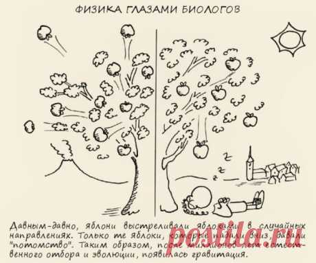 О чем шутят ученые