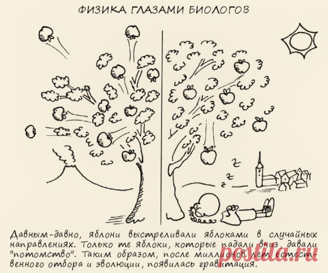 О чем шутят ученые