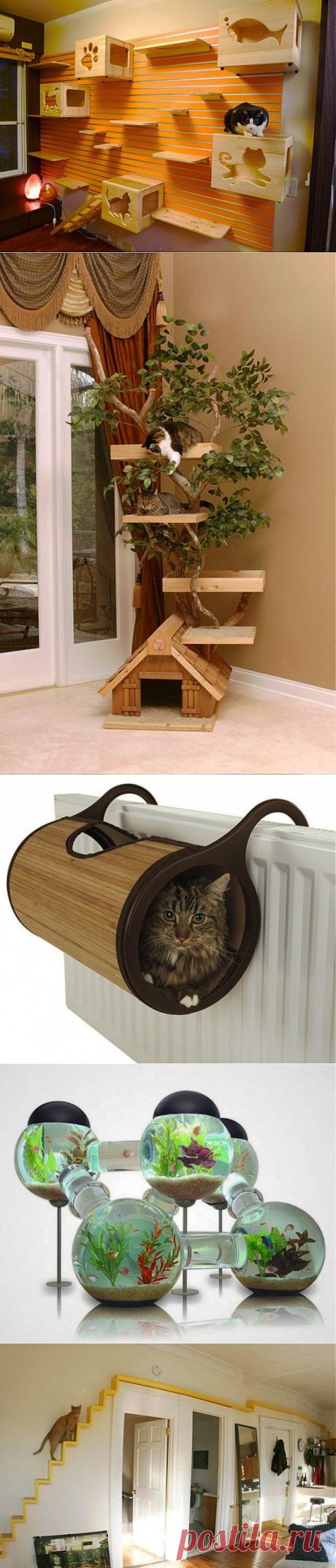 Дизайн для братьев наших меньших