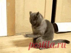 Психология отношений | ВКонтакте