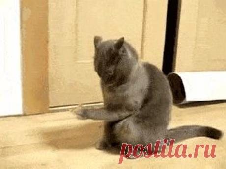 Психология отношений | ВКонтакте