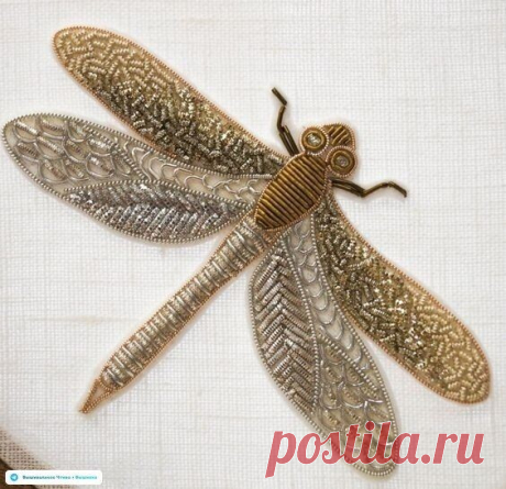 🦋🌶 Эскизы для вышивки: бабочки и жучки
